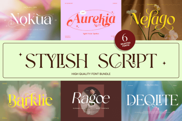 Download Stylish Script Bundle - Script Collection